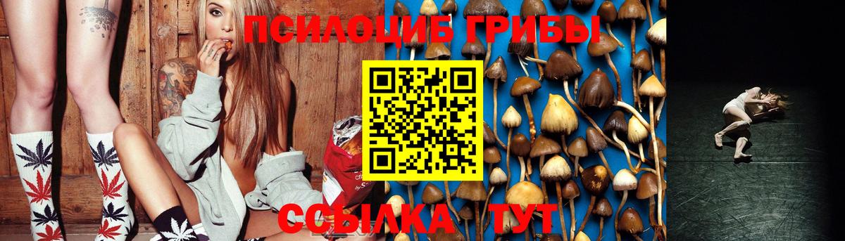 Псилоцибиновые грибы Magic Shrooms Саки