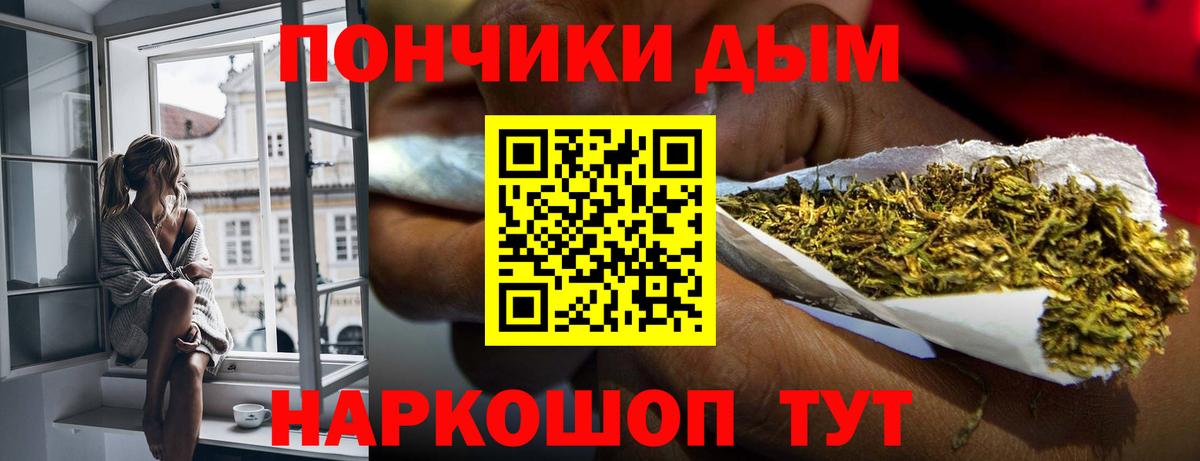 Канабис планчик  Конопля White Widow  Канабис семена  Вход с VPN  Саки  Шишки марихуана SATIVA & INDICA 